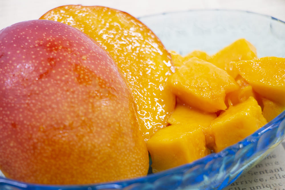 昼食で地元の味を堪能