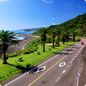 自転車をレンタルして、日南海岸沿いをサイクリング！